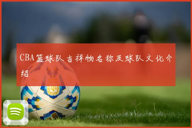 CBA篮球队吉祥物名称及球队文化介绍